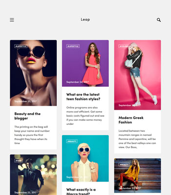 Leap theme preview